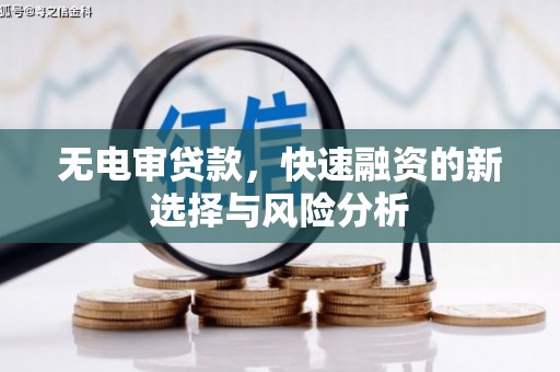 沙湾无电审贷款，快速融资的新选择与风险分析