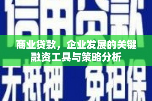 沙湾商业贷款，企业发展的关键融资工具与策略分析