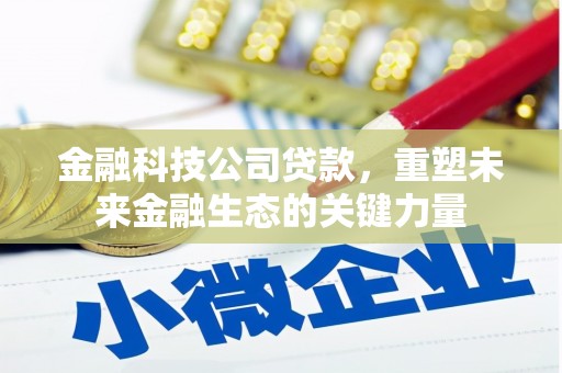 沙湾金融科技公司贷款，重塑未来金融生态的关键力量