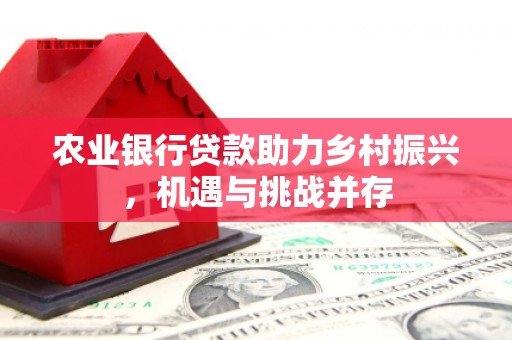 沙湾农业银行贷款助力乡村振兴，机遇与挑战并存