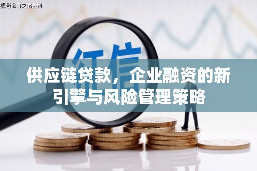 沙湾供应链贷款，企业融资的新引擎与风险管理策略