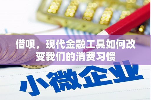沙湾借呗，现代金融工具如何改变我们的消费习惯