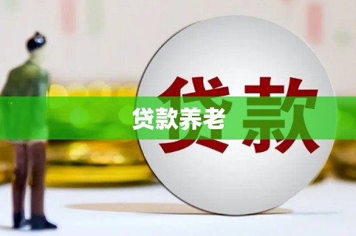 沙湾贷款养老