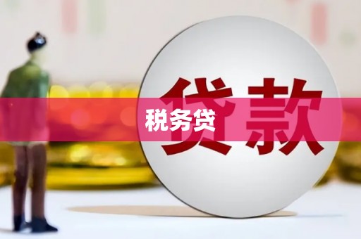 沙湾税务贷
