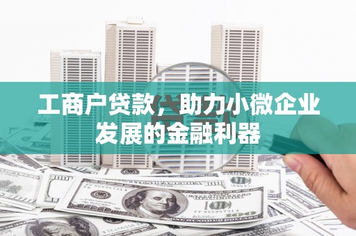 沙湾工商户贷款，助力小微企业发展的金融利器