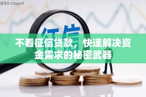 沙湾不看征信贷款，快速解决资金需求的秘密武器