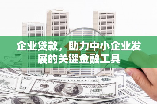 沙湾企业贷款，助力中小企业发展的关键金融工具