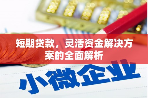 沙湾短期贷款，灵活资金解决方案的全面解析