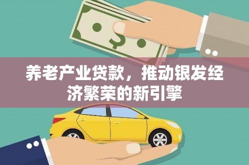 沙湾养老产业贷款，推动银发经济繁荣的新引擎