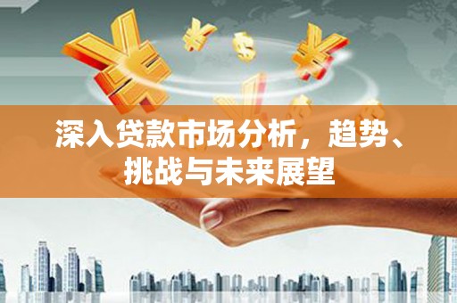 沙湾深入贷款市场分析，趋势、挑战与未来展望