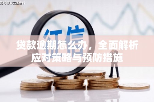 沙湾贷款逾期怎么办，全面解析应对策略与预防措施