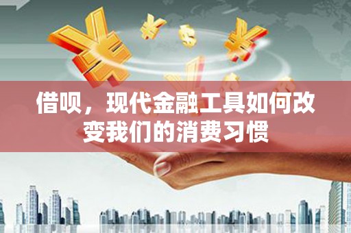 沙湾借呗，现代金融工具如何改变我们的消费习惯