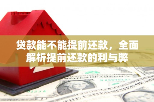 沙湾贷款能不能提前还款，全面解析提前还款的利与弊