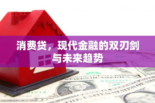 沙湾消费贷，现代金融的双刃剑与未来趋势
