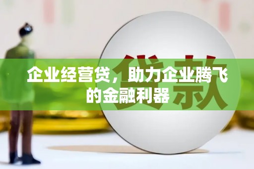 沙湾企业经营贷，助力企业腾飞的金融利器