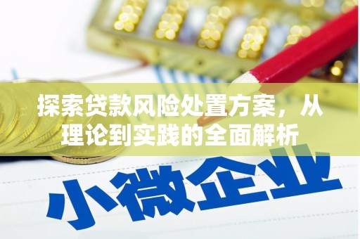 沙湾探索贷款风险处置方案，从理论到实践的全面解析