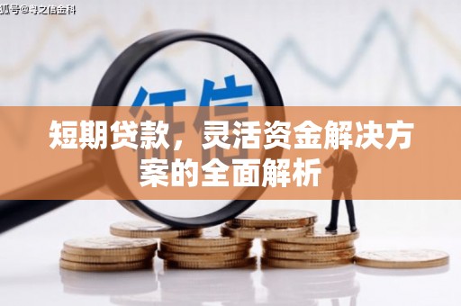 沙湾短期贷款，灵活资金解决方案的全面解析