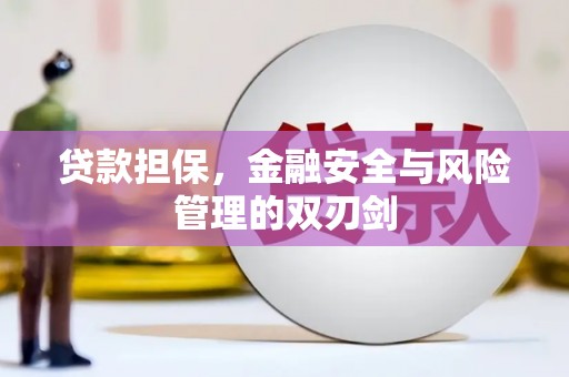 沙湾贷款担保，金融安全与风险管理的双刃剑