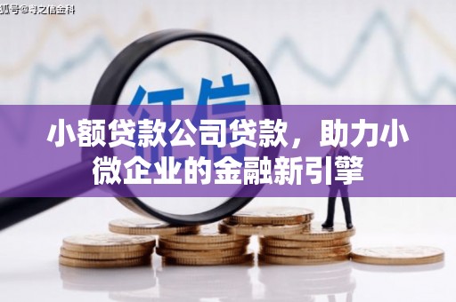 沙湾小额贷款公司贷款，助力小微企业的金融新引擎