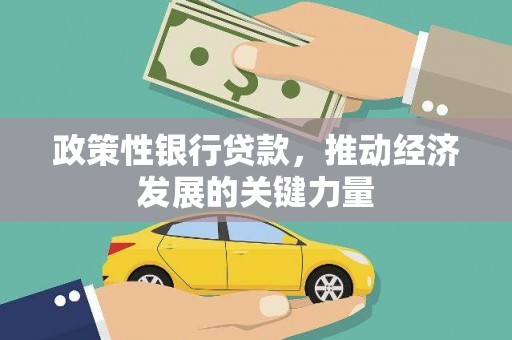 沙湾政策性银行贷款，推动经济发展的关键力量