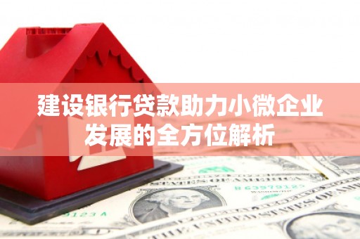 沙湾建设银行贷款助力小微企业发展的全方位解析