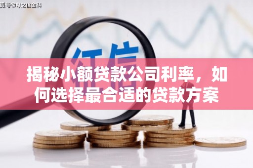 沙湾揭秘小额贷款公司利率，如何选择最合适的贷款方案