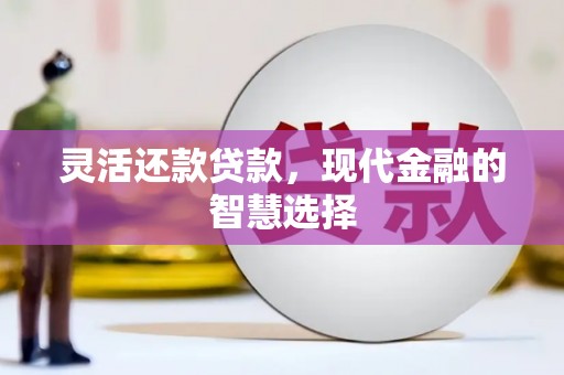 沙湾灵活还款贷款，现代金融的智慧选择