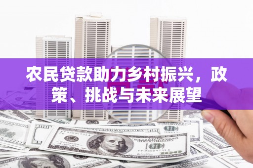 沙湾农民贷款助力乡村振兴，政策、挑战与未来展望