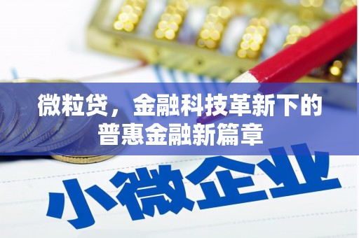 沙湾微粒贷，金融科技革新下的普惠金融新篇章