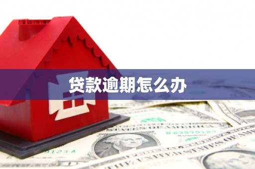 沙湾贷款逾期怎么办