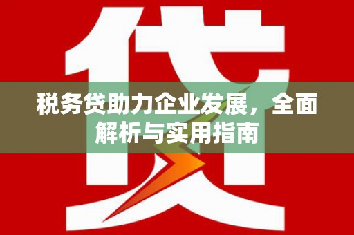 沙湾税务贷助力企业发展，全面解析与实用指南
