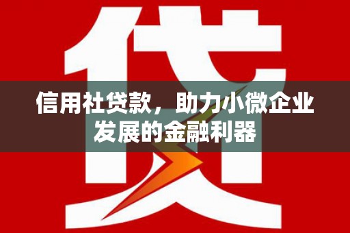 沙湾信用社贷款，助力小微企业发展的金融利器
