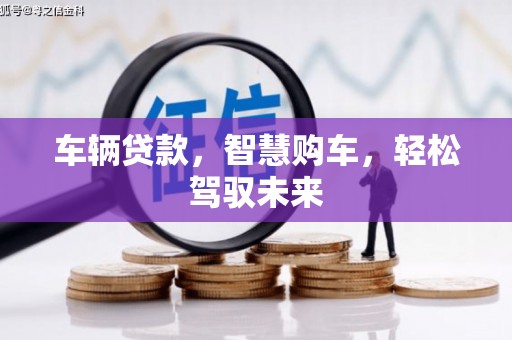 沙湾车辆贷款，智慧购车，轻松驾驭未来