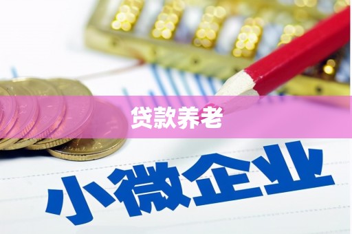 沙湾贷款养老