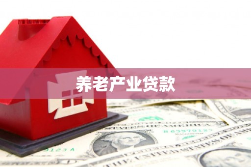沙湾养老产业贷款