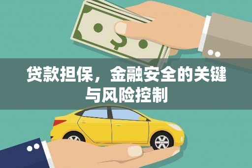 沙湾贷款担保，金融安全的关键与风险控制