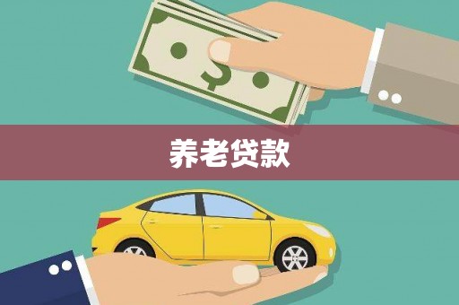 沙湾养老贷款