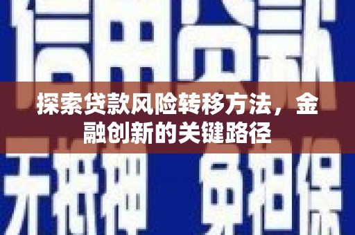 沙湾探索贷款风险转移方法，金融创新的关键路径