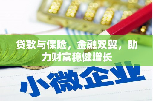 沙湾贷款与保险，金融双翼，助力财富稳健增长