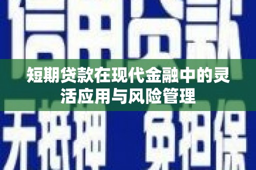 沙湾短期贷款在现代金融中的灵活应用与风险管理