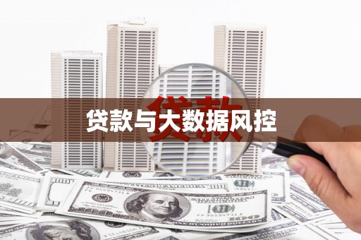 沙湾贷款与大数据风控