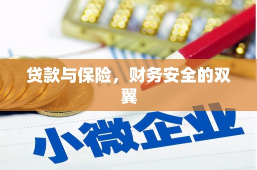 沙湾贷款与保险，财务安全的双翼