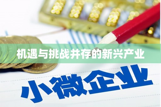 沙湾机遇与挑战并存的新兴产业