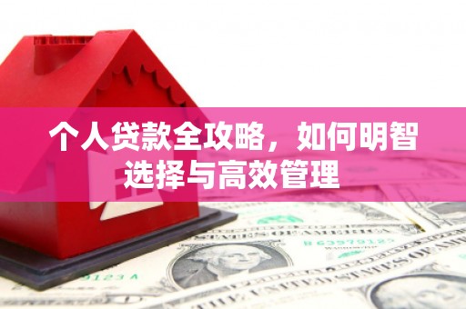 沙湾个人贷款全攻略，如何明智选择与高效管理