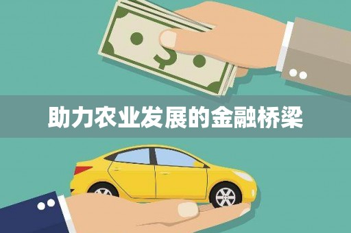 沙湾助力农业发展的金融桥梁