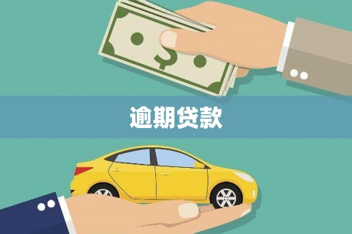 沙湾逾期贷款