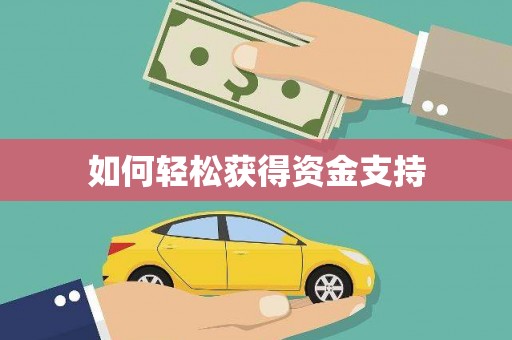 沙湾如何轻松获得资金支持
