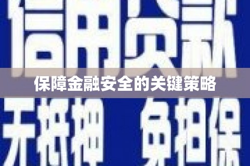 沙湾保障金融安全的关键策略