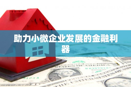 沙湾助力小微企业发展的金融利器