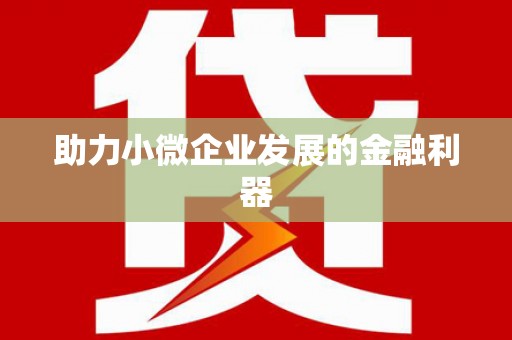 沙湾助力小微企业发展的金融利器